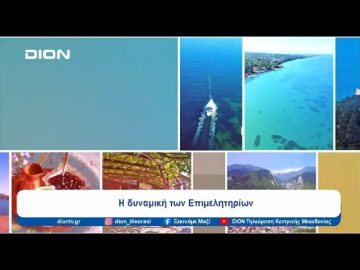 Η δυναμική των Επιμελητηρίων | Ξεκινάμε Μαζί | 10/07/24