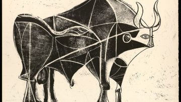 FPCN 1820 TORO R tavros