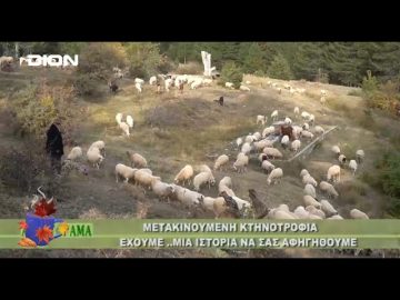 Ξεκινάμε Μαζί με το Αγροτόραμα | 10/09/24
