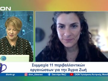 Συμμαχία 11 περιβαλλοντικών οργανώσεων για την Άγρια Ζωή | Ξεκινάμε Μαζί | 01/10/24