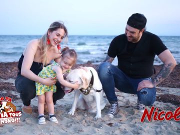 ΓΙΑ ΤΑ ΜΑΤΙΑ ΤΟΥΣ ΜΟΝΟ – ΘΕΜΗΣ ΦΟΥΣΙΑΣ εκπαιδευτής σκύλων – ΔΕΣΠΟΙΝΑ ΔΡΙΒΑΚΟΥ ψυχολόγος