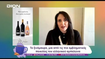 Η 1η Νοεμβρίου, Παγκόσμια Μέρα Ξινόμαυρου | 01/11/24 | Ξεκινάμε Μαζί