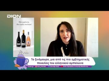 Η 1η Νοεμβρίου, Παγκόσμια Μέρα Ξινόμαυρου | 01/11/24 | Ξεκινάμε Μαζί