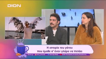 Η ιστορία του γάτου που έμαθε σ’ έναν γλάρο να πετάει | 05/11/24 | Ξεκινάμε Μαζί