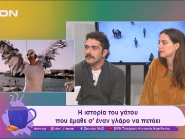 Η ιστορία του γάτου που έμαθε σ’ έναν γλάρο να πετάει | 05/11/24 | Ξεκινάμε Μαζί