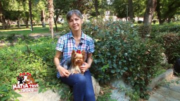 ΓΙΑ ΤΑ ΜΑΤΙΑ ΤΟΥΣ ΜΟΝΟ  – YORKSHIRE