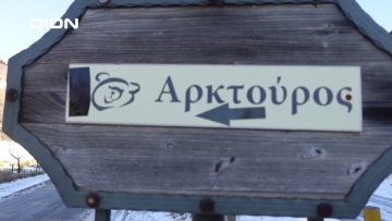 Τα Μαγειρέματα της Έλσας | Νυμφαίο | Κόρες με Σάλτσα Καβουρδιστής Πιπεριάς Φλωρίνης | 15/12/24