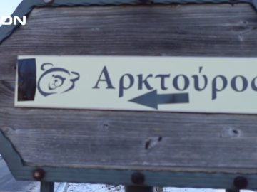 Τα Μαγειρέματα της Έλσας | Νυμφαίο | Κόρες με Σάλτσα Καβουρδιστής Πιπεριάς Φλωρίνης | 15/12/24