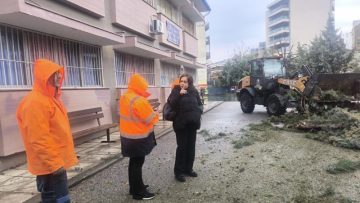 αραπογλου ζημιες