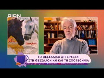 Το Θεσσαλικό Άτι έρχεται στη Θεσσαλονίκη και τη Zootechnia  | 28/01/25