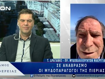 Σε αναβρασμό οι μυδοπαραγωγοί της Πιερίας  |  05/03/25