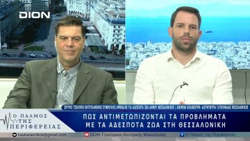 Πως αντιμετωπίζονται τα προβλήματα με τα αδέσποτα ζώα στη Θεσσαλονίκη | 12/03/25