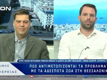 Πως αντιμετωπίζονται τα προβλήματα με τα αδέσποτα ζώα στη Θεσσαλονίκη | 12/03/25