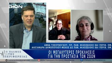 Οι μεγαλύτερες προκλήσεις για την προστασία των ζώων | 31/03/25