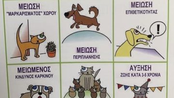 στειρωση ΠΚΣ