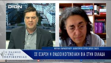 Σε έξαρση η ενδοοικογενειακή βία στην Ελλάδα; | 02/04/25