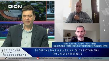 Το πόρισμα του Ε.Ο.Δ.Α.Σ.Α.Α.Μ και τα ερωτηματικά που ζητούναπαντήσεις | 14/04/25