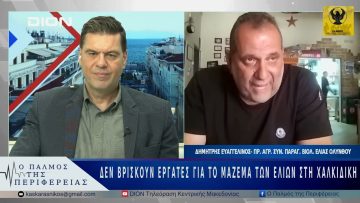 Δεν βρίσκουν εργάτες για το μάζεμα των ελιών στη Χαλκιδική | 19/05/25 |