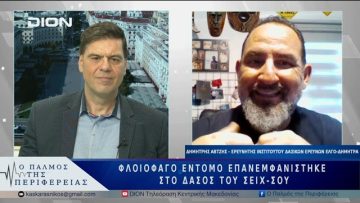 Φλοιοφάγο έντομο επανεμφανίστηκε στο δάσος του Σέιχ-Σου | 23/05/25 |
