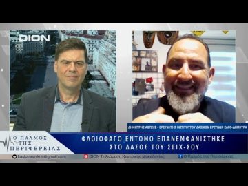 Φλοιοφάγο έντομο επανεμφανίστηκε στο δάσος του Σέιχ-Σου | 23/05/25 |