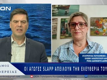 Στο στόχαστρο η ελεύθερη έκφραση των δημοσιογράφων στην Ελλάδα | 28/05/25 |