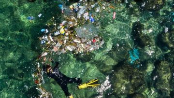 Our-Sea-of-Waste-POSTER-44