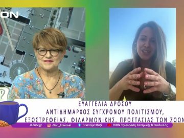 Πολιτιστικό Καλοκαίρι 2025 στο Δήμο Ωραιοκάστρου |19/06/25 | Ξεκινάμε Μαζί