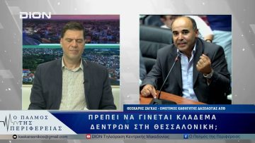 Πώς πρέπει να γίνεται το κλάδεμα δέντρων στη Θεσσαλονίκη; | 06/06/25 |