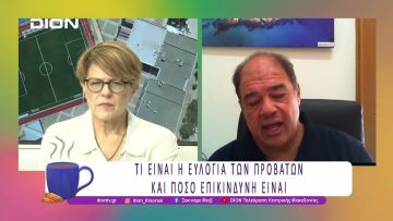 SOS εκπέμπει η Χαλκιδική για την ευλογιά των προβάτων |24/06/25 | Ξεκινάμε Μαζί