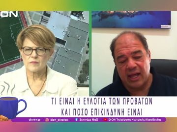 SOS εκπέμπει η Χαλκιδική για την ευλογιά των προβάτων |24/06/25 | Ξεκινάμε Μαζί