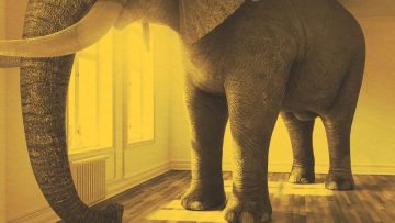 ws_article_elephant-room_88a96f