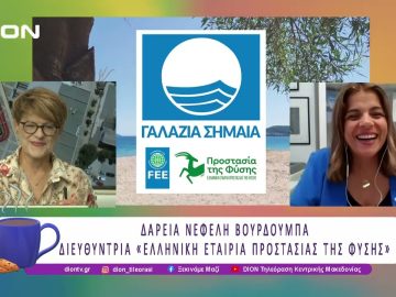 Αφαιρέθηκαν 12 Γαλάζιες Σημαίες|  31/07/25 | Ξεκινάμε Μαζί