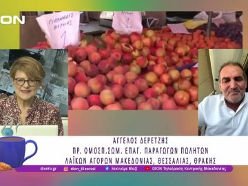 Στις περιφέρειες ή στους δήμους η ευθύνη των λαικών αγορών;   |16/07/25 |Ξεκινάμε Μαζί