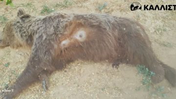 Nekri arkouda Kastoria 250715(3)