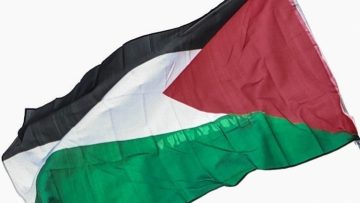 palestine flag