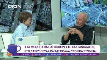 Πεζοπορία στο δάσος του Χορτιάτη| 22/10/25 | Ξεκινάμε Μαζί