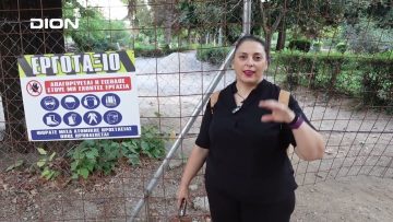 Τα Μαγειρέματα της Έλσας | Γκαβοψαρα παραδοσιακή συνταγή | 21/11/25