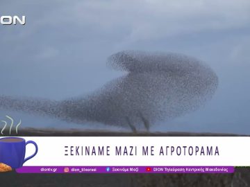 Ξεκινάμε Μαζί με Αγροτόραμα | 03/03/26 | Ξεκινάμε Μαζί